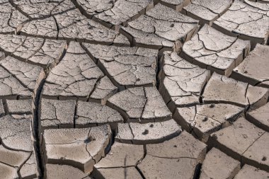 Dünya kuraklık ve aşırı sıcak zamanlarda çatladı. Fransa.