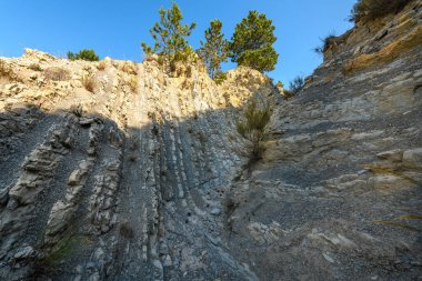 Folded geological layers in Provence, Drome. France.