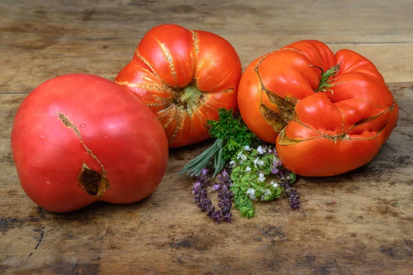 Antiguos Tomates Vari Hierbas Aromáticas Sobre Fondo Madera Vieja Una — Foto de Stock