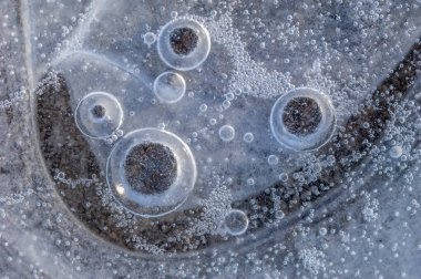 Buz gibi kışın oluşturduğu nehirde kapana kısılmış hava kabarcıkları. Alsace, Fransa.