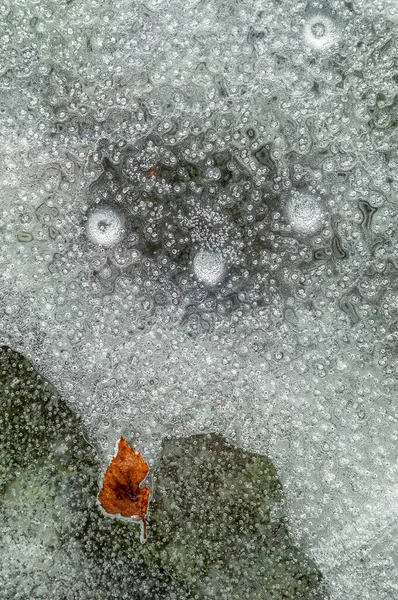 Luftbubblor Med Ett Trädblad Fångat Isen Som Bildas Flod Iskall — Stockfoto