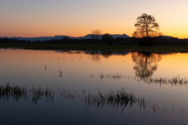 Gün batımında çayırı sudaki yansımalarla doldurdu. Alsace, Fransa.