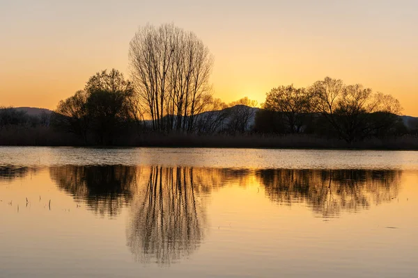 stock image Flooded meadow at sunset with reflections in the water. Alsace, France.