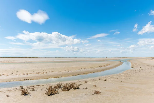 Camargue 'deki Rhone deltasındaki tipik bir manzara. Saintes Maries de la Mer, Parc naturel regional, Arles, Bouches du Rhone, Provence Alpes Cote d 'Azur, Fransa.