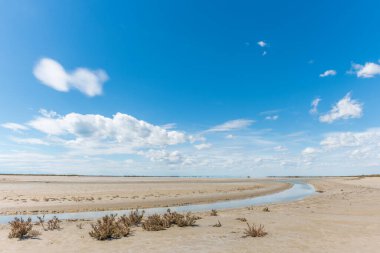 Camargue 'deki Rhone deltasındaki tipik bir manzara. Saintes Maries de la Mer, Parc naturel regional, Arles, Bouches du Rhone, Provence Alpes Cote d 'Azur, Fransa.