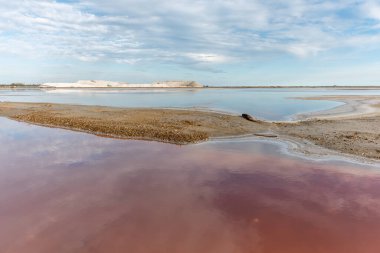 Salin de Giraud köyünde tuz tüketimi Grand Rhone 'un ağzının yakınında. Parc naturel regional, Arles, Bouches du Rhone, Provence Alpes Cote d 'Azur, Fransa.