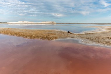 Salin de Giraud köyünde tuz tüketimi Grand Rhone 'un ağzının yakınında. Parc naturel regional, Arles, Bouches du Rhone, Provence Alpes Cote d 'Azur, Fransa.