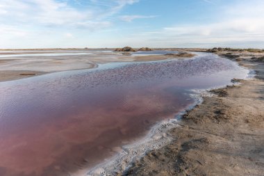 Salin de Giraud köyünde tuz tüketimi Grand Rhone 'un ağzının yakınında. Parc naturel regional, Arles, Bouches du Rhone, Provence Alpes Cote d 'Azur, Fransa.