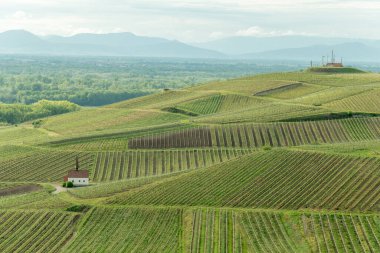 İlkbaharda bağda Eichert Kapelle. Sasbach am Kaiserstuhl, Emmendingen Bade-Wurtemberg, Allemagne, Avrupa.