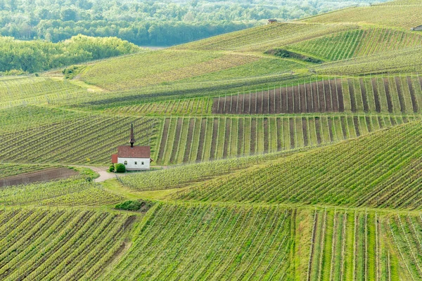 stock image Eichert Kapelle in the vineyard in spring. Sasbach am Kaiserstuhl, Emmendingen Bade-Wurtemberg, Allemagne, Europe.