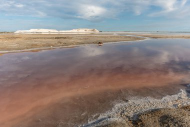 Salin de Giraud köyünde tuz tüketimi Grand Rhone 'un ağzının yakınında. Parc naturel regional, Arles, Bouches du Rhone, Provence Alpes Cote d 'Azur, Fransa.