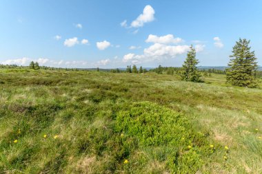 Baharda, yüksek Vosges Dağları 'nın yamaç yolu yakınlarındaki manzarası. Avrupa Birliği d 'Alsace, Grand Est, Fransa, Avrupa.