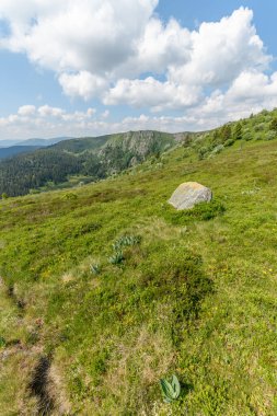 Baharda, yüksek Vosges Dağları 'nın yamaç yolu yakınlarındaki manzarası. Avrupa Birliği d 'Alsace, Grand Est, Fransa, Avrupa.