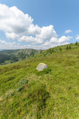 Baharda, yüksek Vosges Dağları 'nın yamaç yolu yakınlarındaki manzarası. Avrupa Birliği d 'Alsace, Grand Est, Fransa, Avrupa.