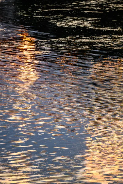 Rosa Wolken Bei Sonnenuntergang Die Sich Flusswasser Spiegeln Rhein Collectivite — Stockfoto