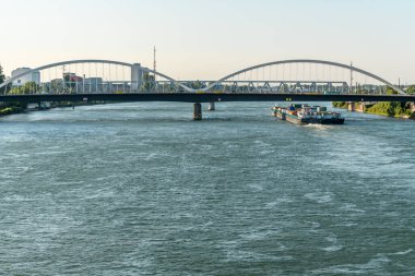 Strasbourg ve Kehl arasındaki Ren nehri iki bankanın bahçesinden görüldü. Bas-Rhin, Avrupa Birliği d 'Alsace, Grand Est.