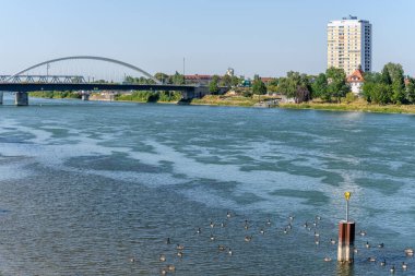 Strasbourg ve Kehl arasındaki Ren nehri iki bankanın bahçesinden görüldü. Bas-Rhin, Avrupa Birliği d 'Alsace, Grand Est.