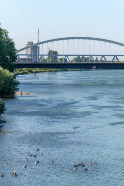 Strasbourg ve Kehl arasındaki Ren nehri iki bankanın bahçesinden görüldü. Bas-Rhin, Avrupa Birliği d 'Alsace, Grand Est.