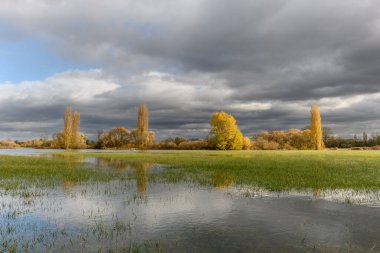 Şiddetli yağmurdan sonra çayırı su bastı. Sonbahar manzarası. Bas-Rhin, Collectivite europeenne d 'Alsace, Grand Est, Fransa, Avrupa.