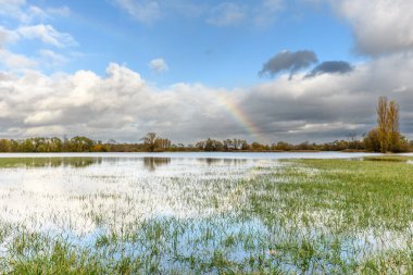 Sel basmış bir çayırda gökkuşağı. Sonbahar manzarası. Bas-Rhin, Collectivite europeenne d 'Alsace, Grand Est, Fransa, Avrupa.