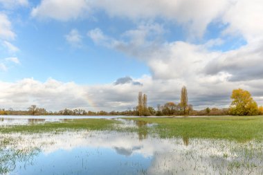 Şiddetli yağmurdan sonra çayırı su bastı. Sonbahar manzarası. Bas-Rhin, Collectivite europeenne d 'Alsace, Grand Est, Fransa, Avrupa.