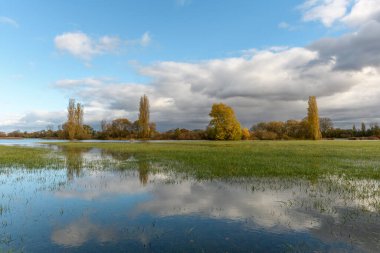 Şiddetli yağmurdan sonra çayırı su bastı. Sonbahar manzarası. Bas-Rhin, Collectivite europeenne d 'Alsace, Grand Est, Fransa, Avrupa.