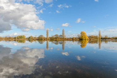 Şiddetli yağmurdan sonra çayırı su bastı. Sonbahar manzarası. Bas-Rhin, Collectivite europeenne d 'Alsace, Grand Est, Fransa, Avrupa.