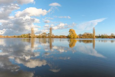 Şiddetli yağmurdan sonra çayırı su bastı. Sonbahar manzarası. Bas-Rhin, Collectivite europeenne d 'Alsace, Grand Est, Fransa, Avrupa.