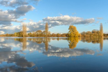 Şiddetli yağmurdan sonra çayırı su bastı. Sonbahar manzarası. Bas-Rhin, Collectivite europeenne d 'Alsace, Grand Est, Fransa, Avrupa.