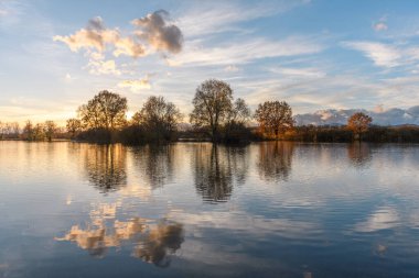 Şiddetli yağmurdan sonra ağaçlar sel basmış bir çayıra yansıdı. Sonbahar manzarası. Bas-Rhin, Alsace, Grand Est, Fransa, Avrupa.