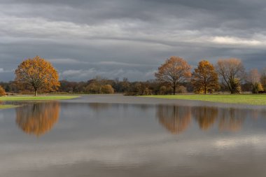 Şiddetli yağmurdan sonra ağaçlar sel basmış bir çayıra yansıdı. Sonbahar manzarası. Bas-Rhin, Alsace, Grand Est, Fransa, Avrupa.