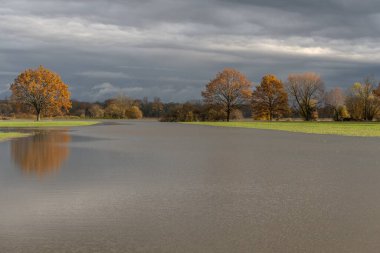 Şiddetli yağmurdan sonra ağaçlar sel basmış bir çayıra yansıdı. Sonbahar manzarası. Bas-Rhin, Alsace, Grand Est, Fransa, Avrupa.