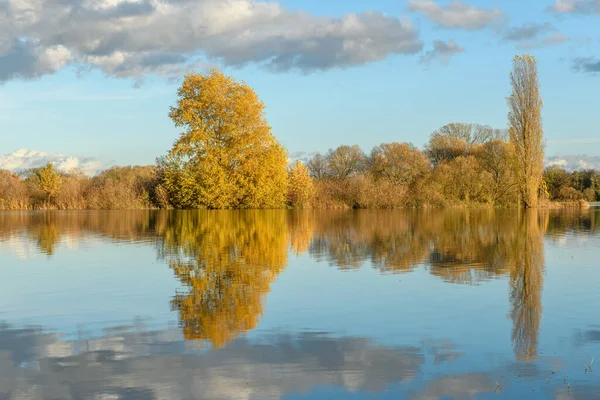 Şiddetli yağmurdan sonra çayırı su bastı. Sonbahar manzarası. Bas-Rhin, Collectivite europeenne d 'Alsace, Grand Est, Fransa, Avrupa.