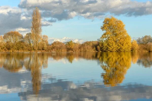 Şiddetli yağmurdan sonra çayırı su bastı. Sonbahar manzarası. Bas-Rhin, Collectivite europeenne d 'Alsace, Grand Est, Fransa, Avrupa.