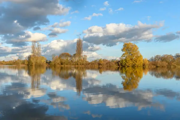Şiddetli yağmurdan sonra çayırı su bastı. Sonbahar manzarası. Bas-Rhin, Collectivite europeenne d 'Alsace, Grand Est, Fransa, Avrupa.