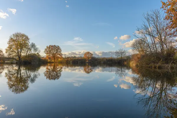 Trees reflected in a flooded meadow after heavy rains. Autumn landscape. Bas-Rhin, Alsace,Grand Est, France, Europe.