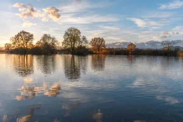 Şiddetli yağmurdan sonra ağaçlar sel basmış bir çayıra yansıdı. Sonbahar manzarası. Bas-Rhin, Alsace, Grand Est, Fransa, Avrupa.