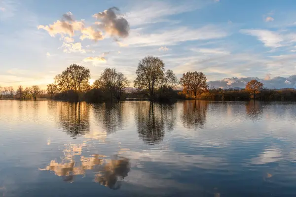 Şiddetli yağmurdan sonra ağaçlar sel basmış bir çayıra yansıdı. Sonbahar manzarası. Bas-Rhin, Alsace, Grand Est, Fransa, Avrupa.
