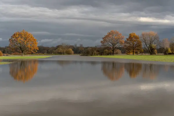 Trees reflected in a flooded meadow after heavy rains. Autumn landscape. Bas-Rhin, Alsace,Grand Est, France, Europe.