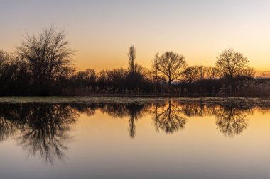 Günbatımında suya yansıyan ağaçların sonbahar manzarası. Sonbahar manzarası. Bas-Rhin, Alsace, Grand Est, Fransa, Avrupa.