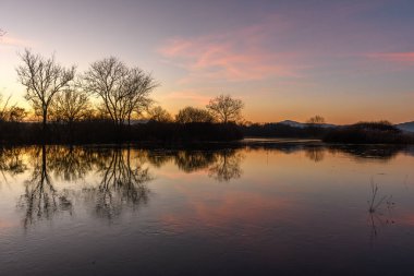 Günbatımında suya yansıyan ağaçların sonbahar manzarası. Sonbahar manzarası. Bas-Rhin, Alsace, Grand Est, Fransa, Avrupa.