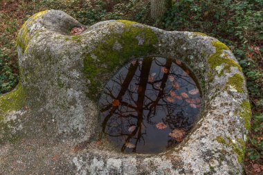 Kelt kayası, kayalıklarda bardakları olan kaya. Dieffenthal, Bas-Rhin, Alsace, Grand Est, Fransa, Avrupa.