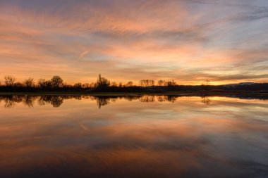 Gün batımında suya yansıyan ağaçlar. Kış manzarası kırmızı ve turuncu gökyüzü. Bas-Rhin, Alsace, Grand Est, Fransa, Avrupa.