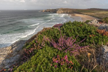 Iroise Denizi 'ndeki Pen Hat Plajı. Camaret, Crozon, Finistere, Brittany, Fransa, Avrupa