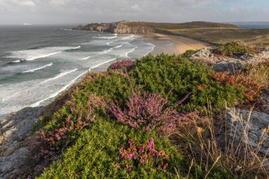Iroise Denizi 'ndeki Pen Hat Plajı. Camaret, Crozon, Finistere, Brittany, Fransa, Avrupa