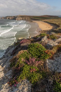 Iroise Denizi 'ndeki Pen Hat Plajı. Camaret, Crozon, Finistere, Brittany, Fransa, Avrupa