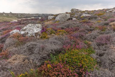 Iroise Denizi kıyılarının manzarası. Camaret, Crozon, Finistere, Brittany, Fransa, Avrupa