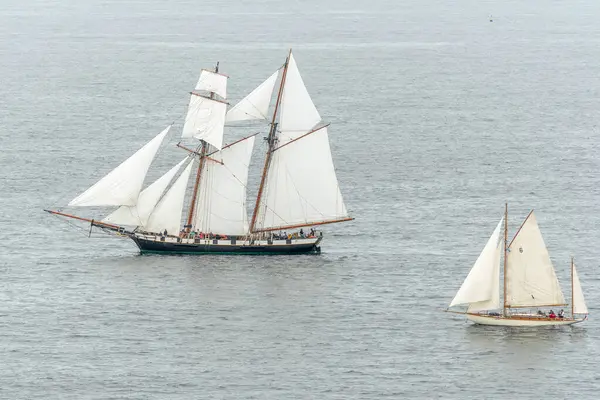 Atlantik Okyanusu 'ndaki bir körfezde geleneksel bir yelkenli. Camaret, Crozon, Finistere, Brittany, Fransa, Avrupa.