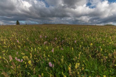 Yüksek dağ sakallarının üzerinde fırtınalı bir gökyüzü. Vosges, Bas Rhin, Alsace, Fransa