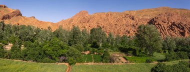 Dades Vadisi 'nde Tamlalt kayalıkları olarak da bilinen maymun parmaklar. Panorama, panoramik. Souss-Sahip-Draa, Fas, Afrika